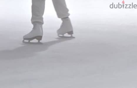 ice skating shies