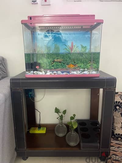 fish tank with 3 fishes and filter oxygen pump