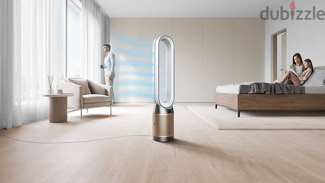 Dyson TP09 - Air Purifier + Cool 2