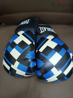 Professional Boxing Gloves For Sale 0