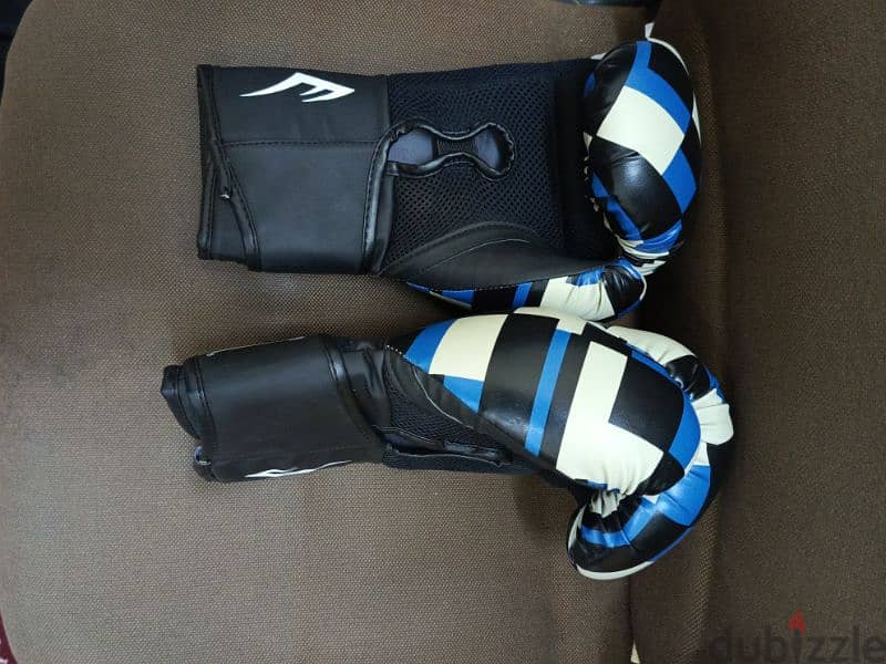 Professional Boxing Gloves For Sale 2