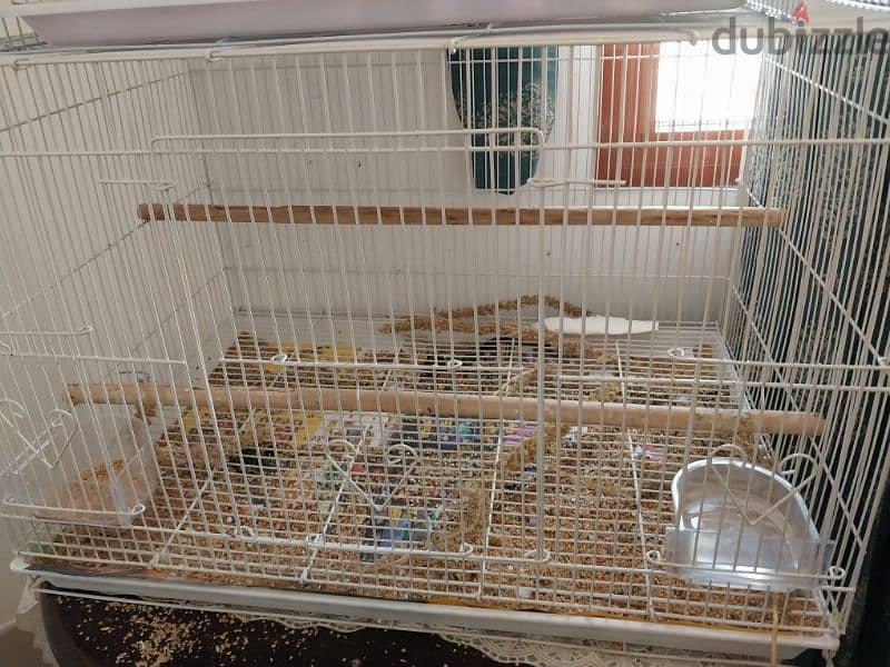 2 cages for sale birds parrots 1