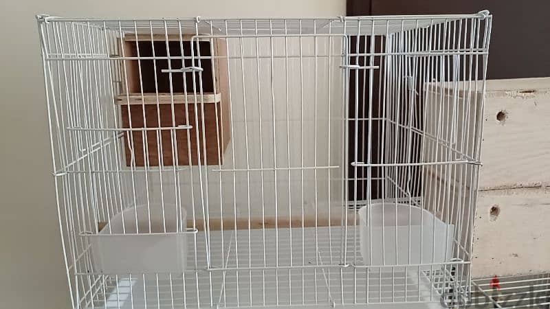 8 budgies with cage 1