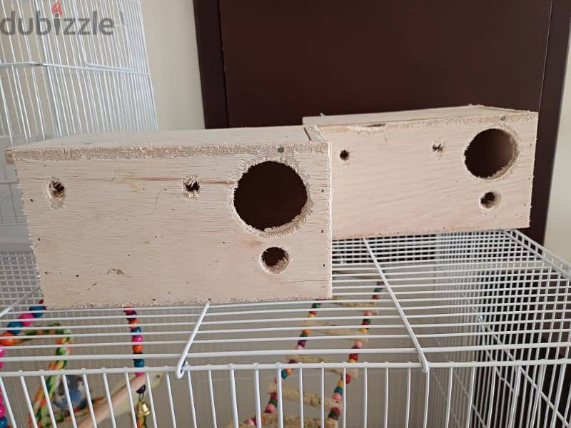 8 budgies with cage 2