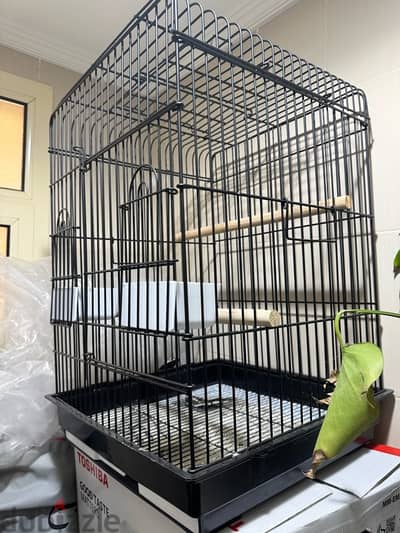 Big parrot cage for sale