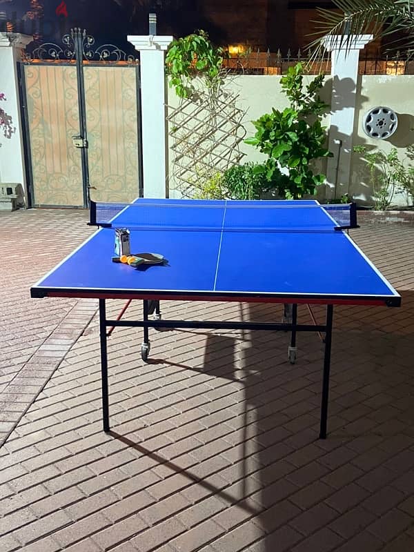 NSPORT tennis table for sale 2