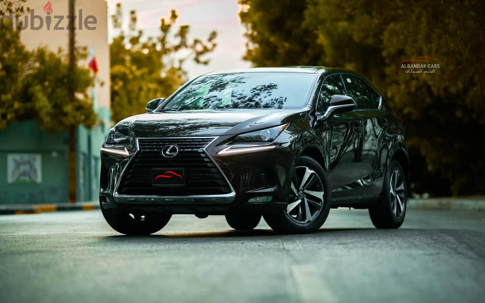 Lexus NX300 2020 Excellent Condition Brown 2