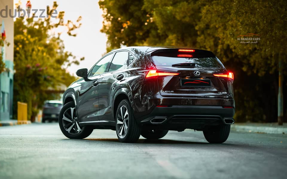 Lexus NX300 2020 Excellent Condition Brown 5