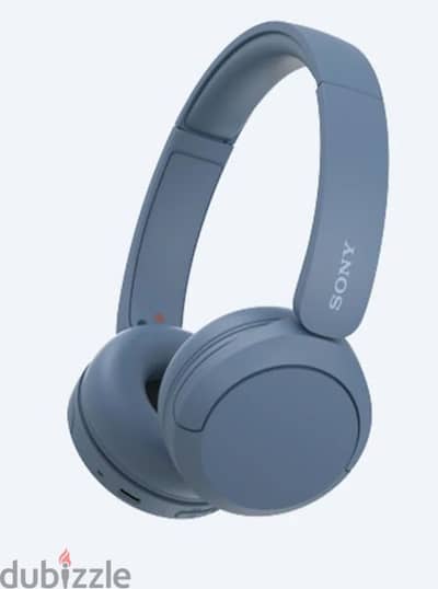 SONY WH-CH520