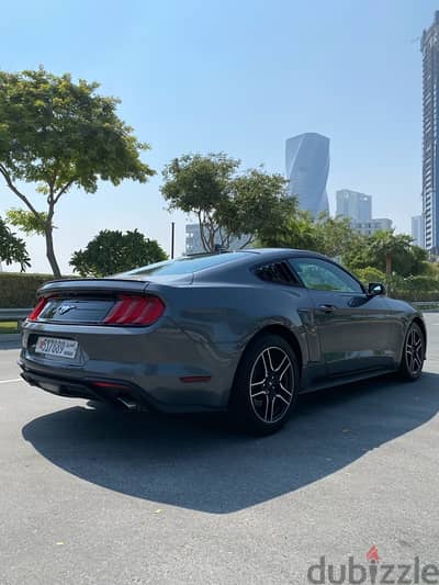 2021 ecoboost mustang