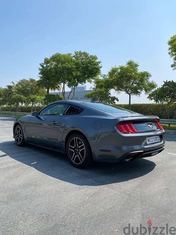 2021 ecoboost mustang 4