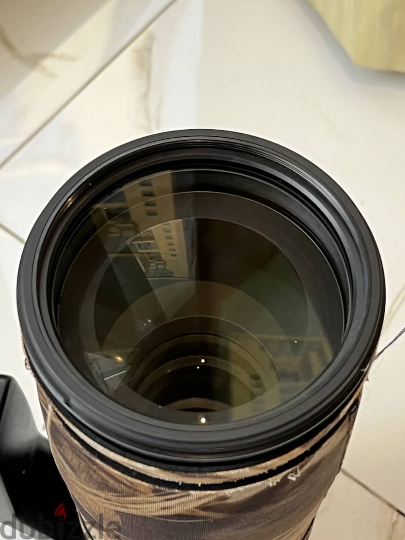 NIKKOR 200-500mm f/5.6E ED VR 1