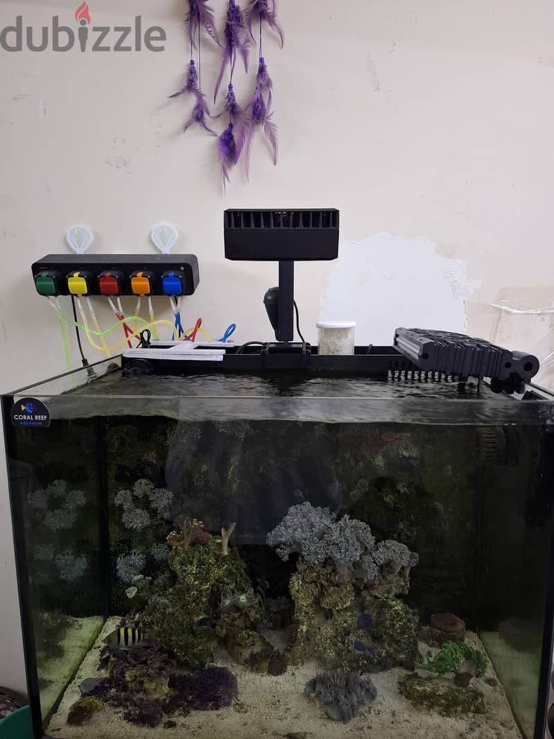 Marine Tank with complete setup 4