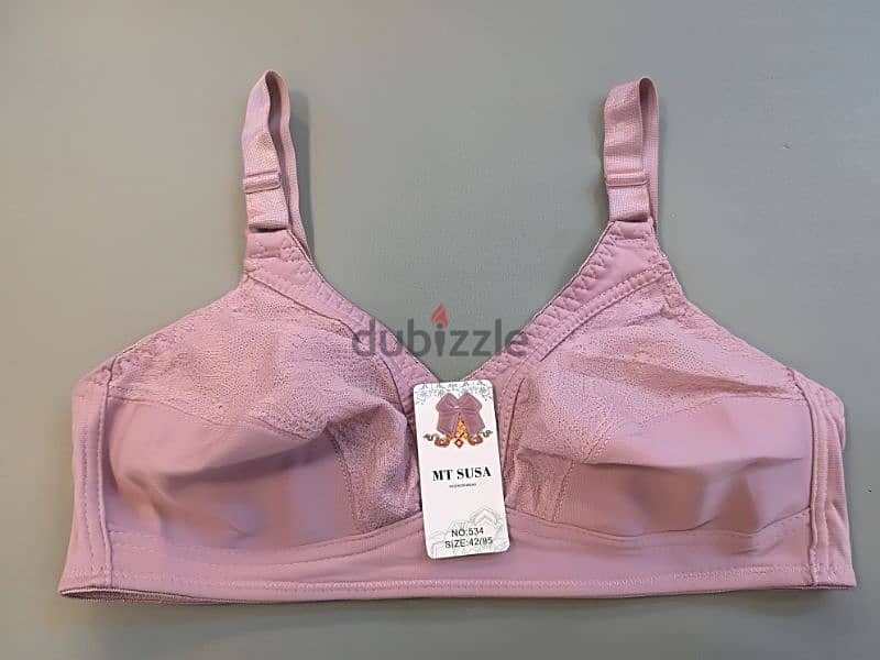 LADIES INNER WEAR BRA 0