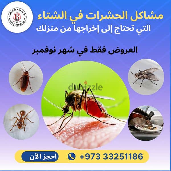 Rubeena Pest Control expert in Bahrain special offers just only 9 BD 1