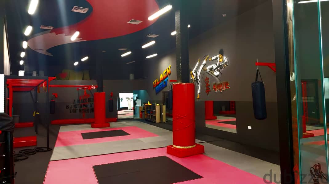 Martial art gym 2