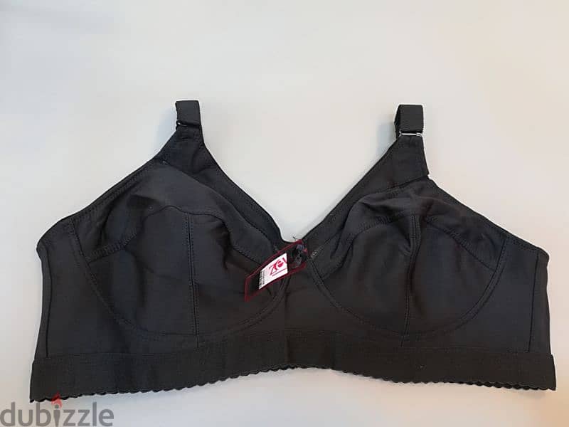 LADIES INNER WEAR BRA 2