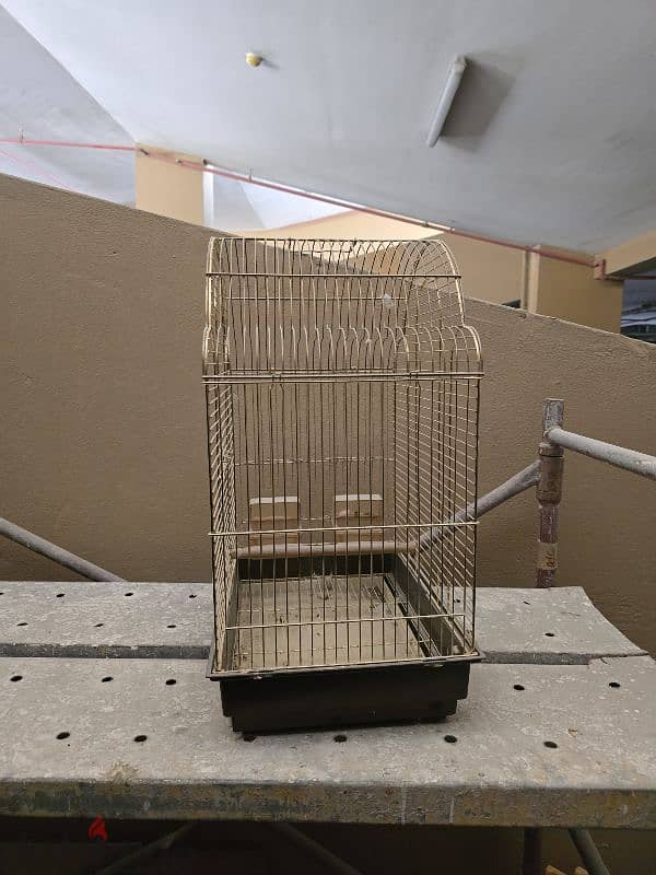 Bird cage 1