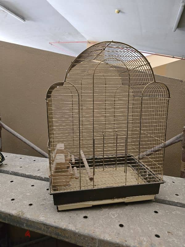 Bird cage 3