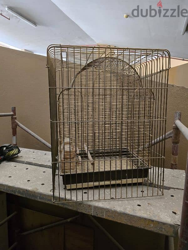 Bird cage 5