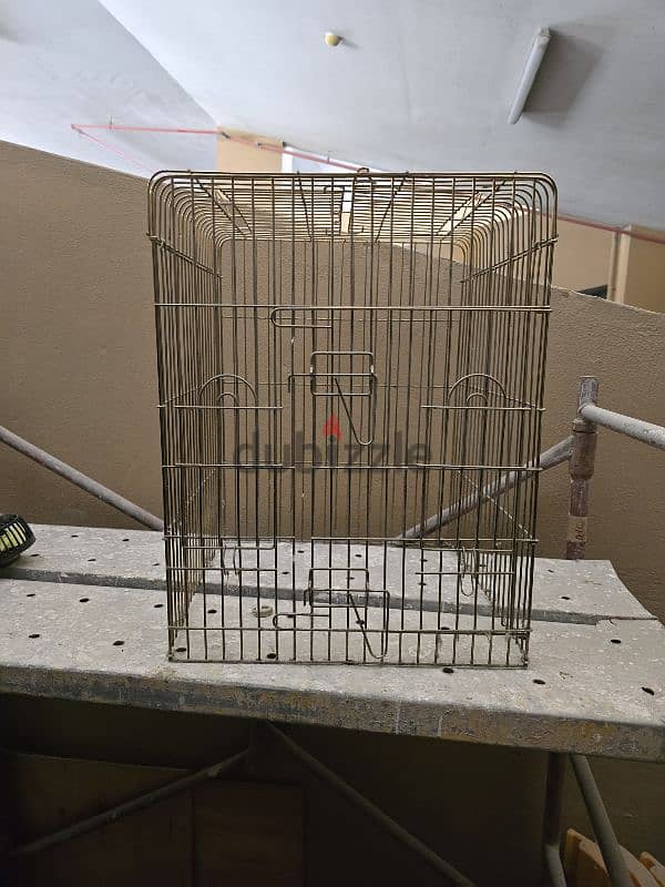 Bird cage 6