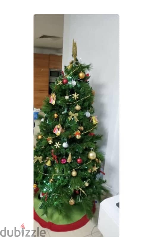 Christmas tree  and decoration 2