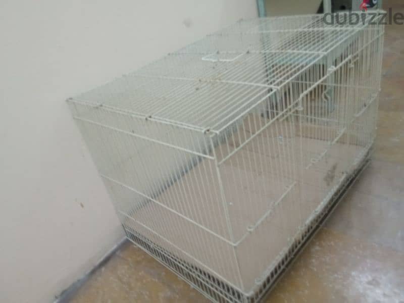 bird cage 1