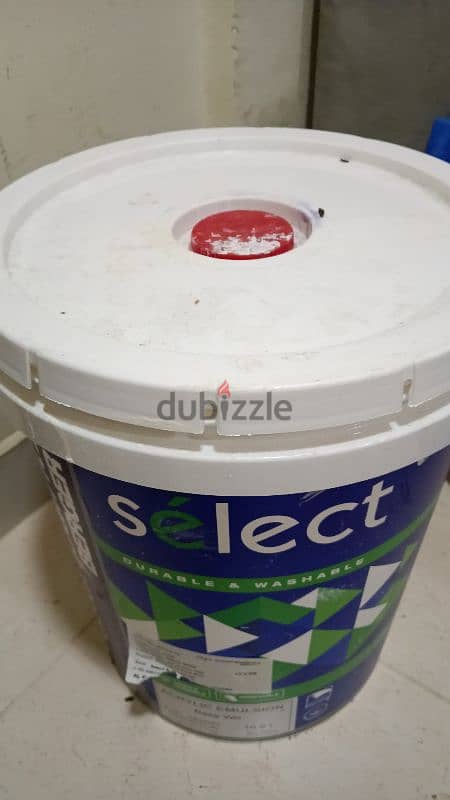 water based paint 16.6LTR drum  (color like white) 1