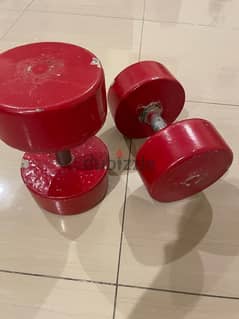 13 kilos dumbell for any price you want 0