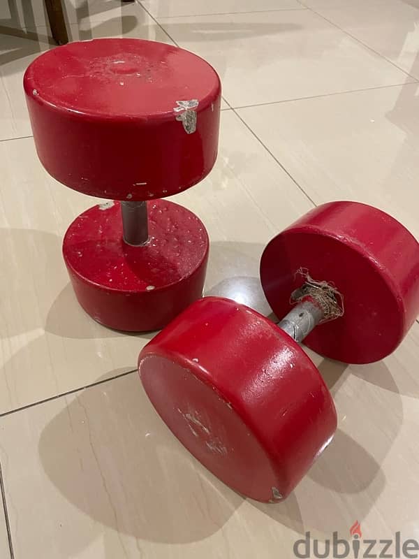 13 kilos dumbell for any price you want 4