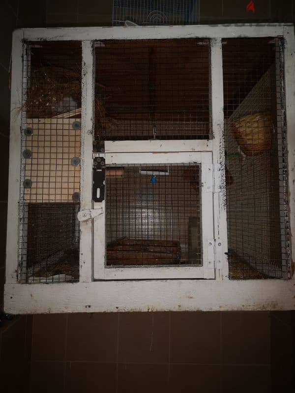 bird with cage 0