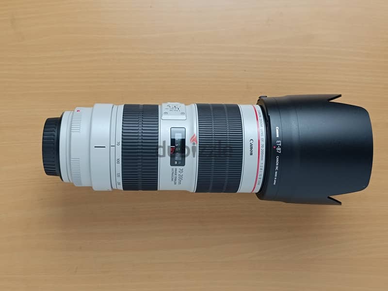 Canon EF 70-200mm f/2.8L IS III USM Lens 7