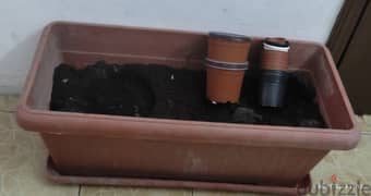 pots with soil 0