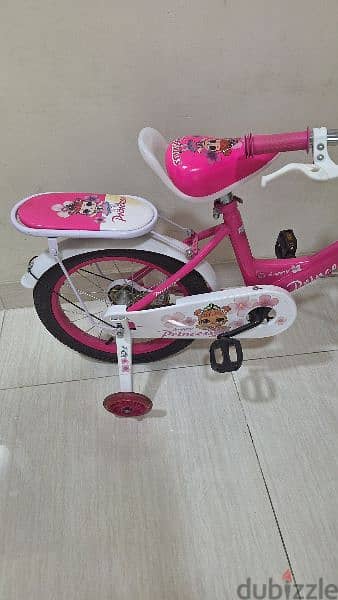 Bicycle girls pink 3