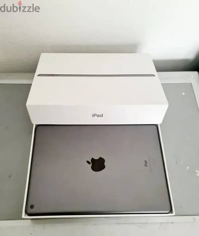 iPad