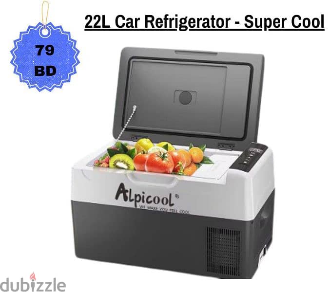 Car Dash Cameras and Car Refrigerator - Free Delivery 4