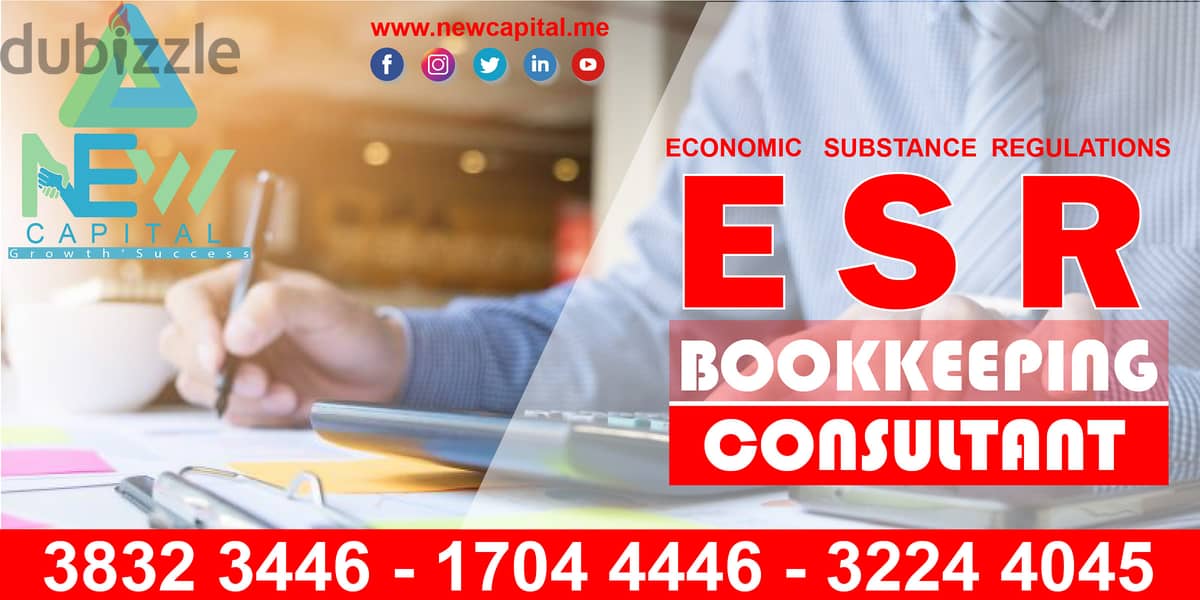 ESR & BOOKKEEPING CONSULTANT (Kingdom of Bahrain) 0