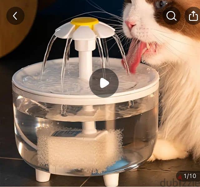 Cat Water Fountain 1