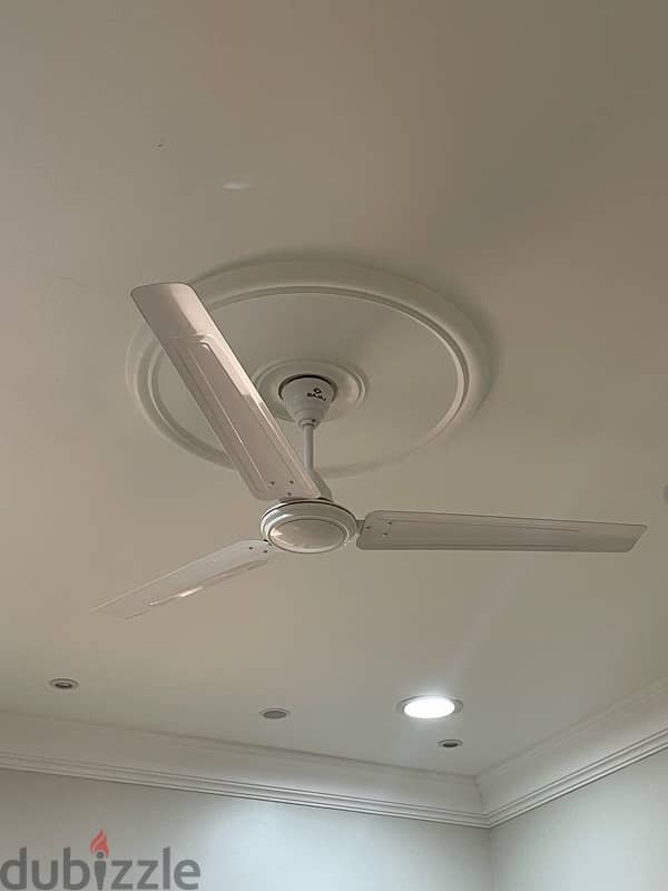 Perfect condition fans 1