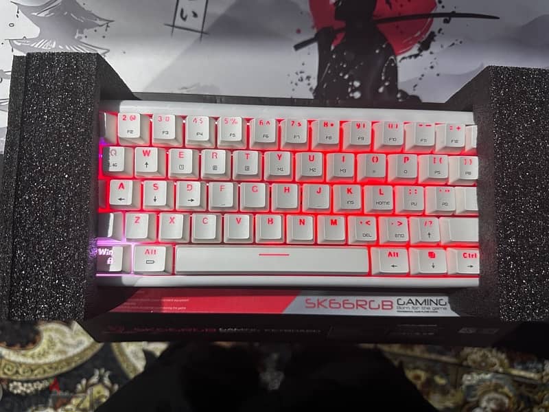 Keyboard and mouse with box 30BD 1