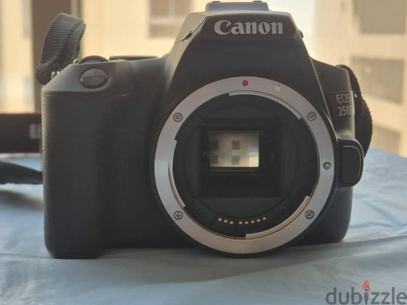 Canon EOS 250D DSLR camera 4