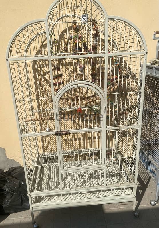 قفص للطيور - cage for birds 3