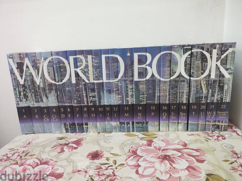 world book, tv stand only,Chairs,Room heater 7