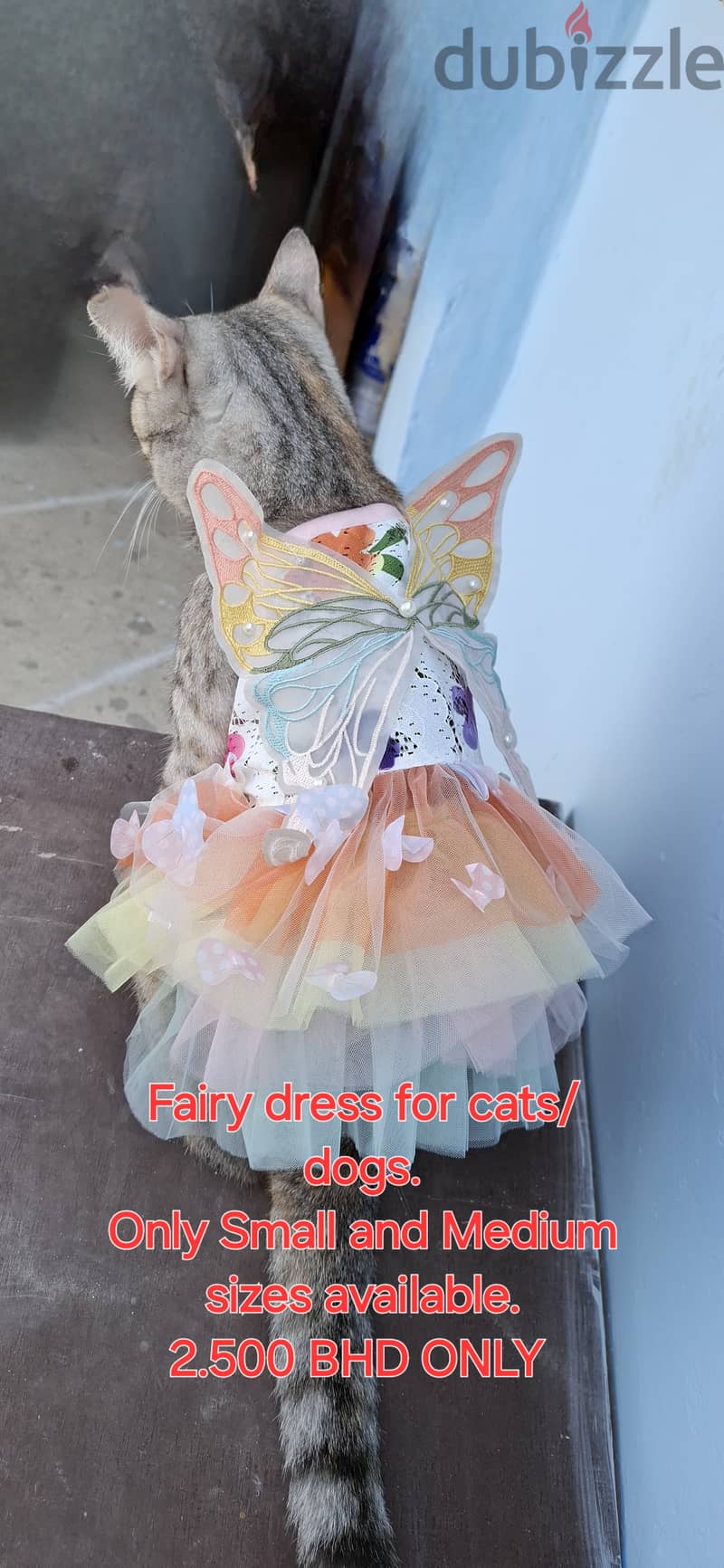 Fairy dress 2