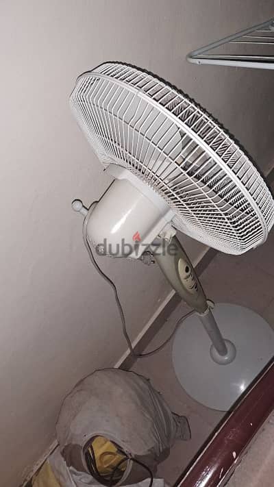 fan