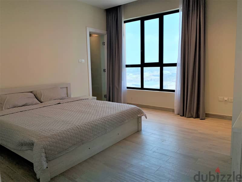 Amazing 2 BR apartment with city view 2