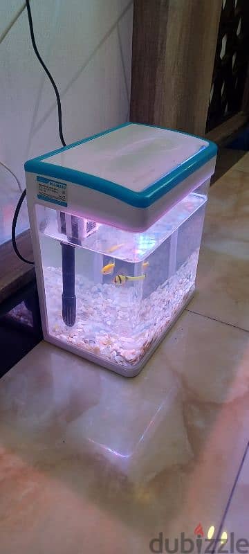 FISH TANK FOR SALE 0