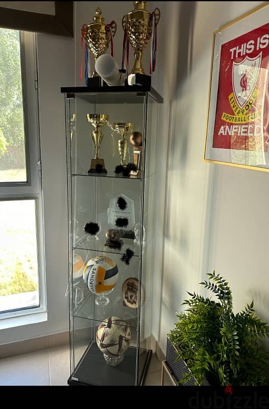 Ikea glass display cabinet 3