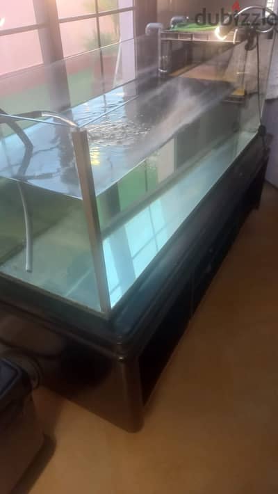 Large Fish Tank without cover including filter/pump and lamp