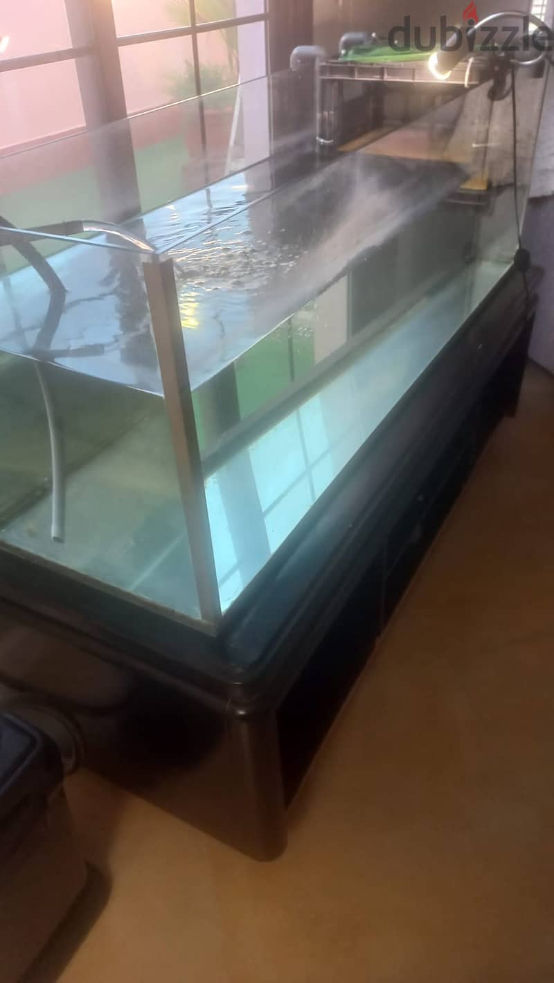 Large Fish Tank without cover including filter/pump and lamp 0